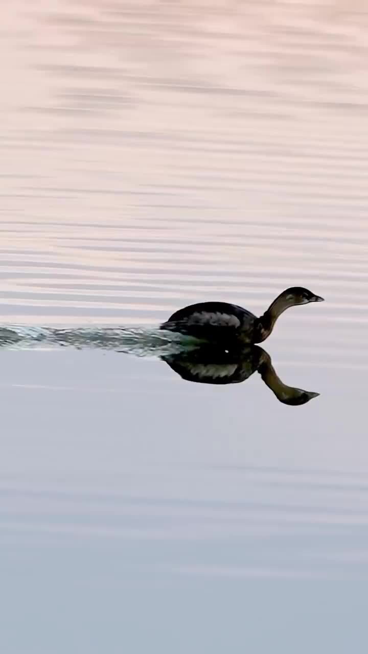 Солянка от 20.02.2026 