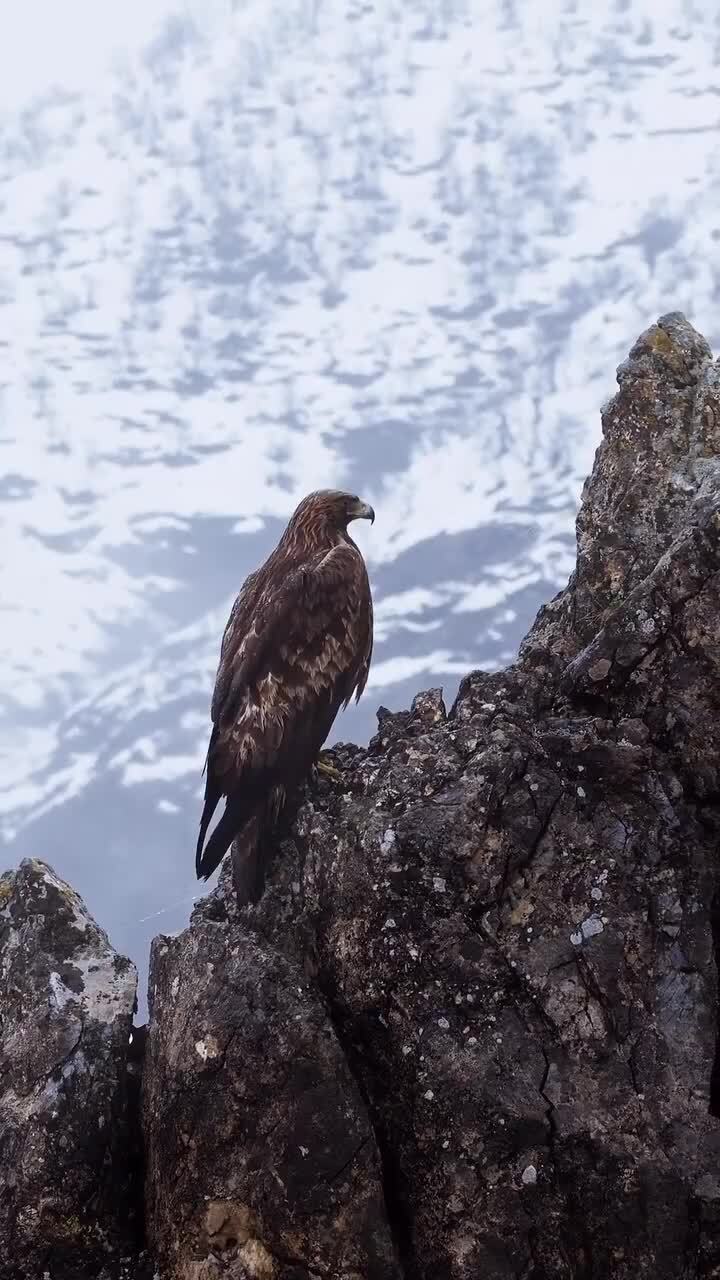 Солянка от 20.02.2026 