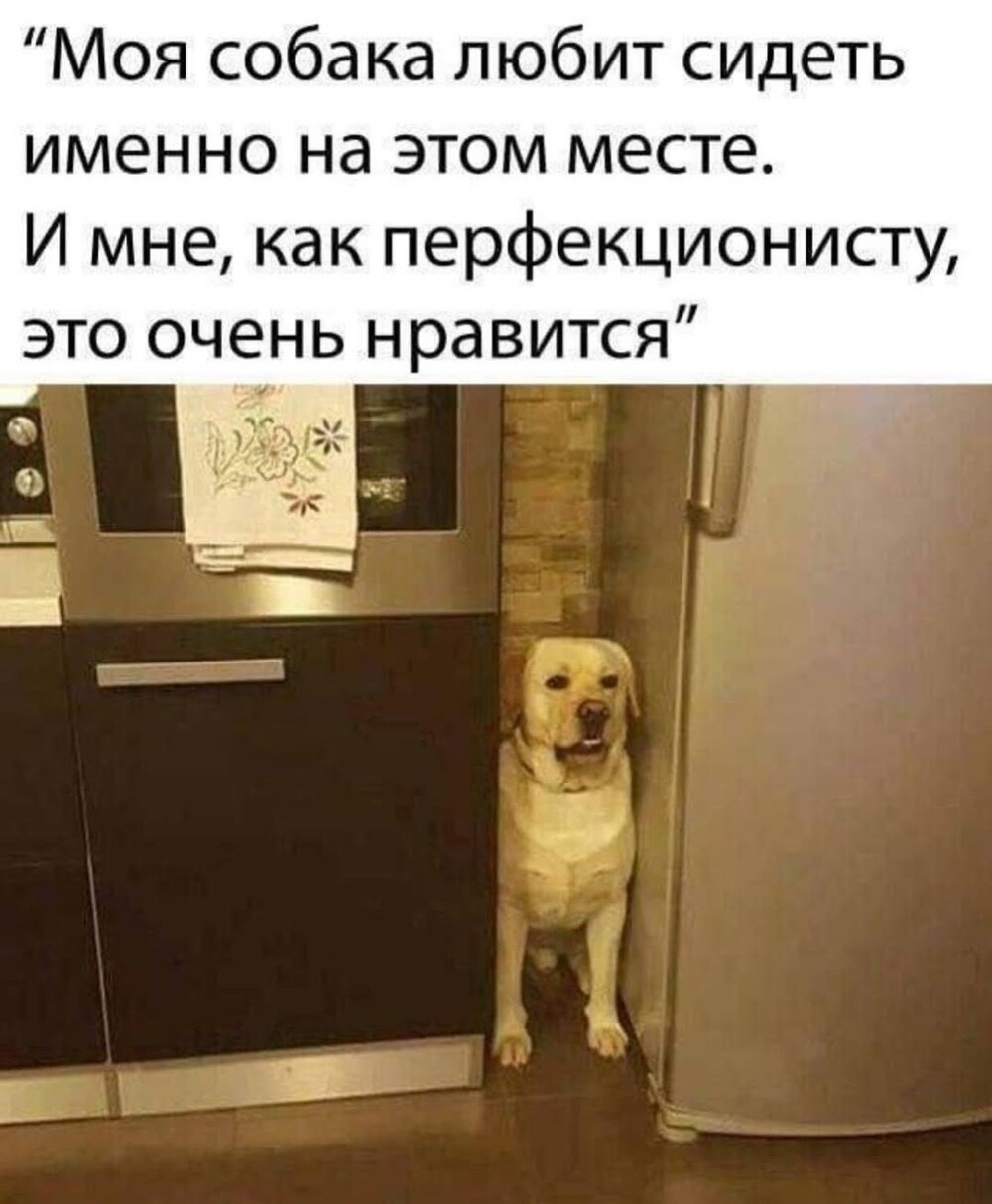 Большая тарелка улыбатора