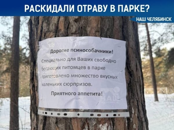 Большая тарелка улыбатора