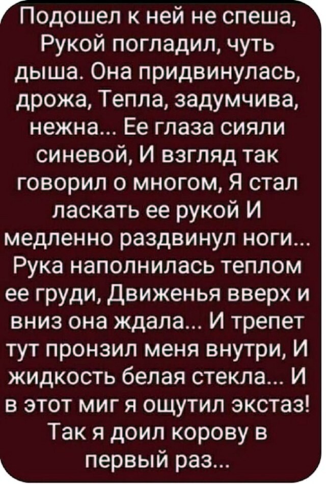 Большая тарелка улыбатора
