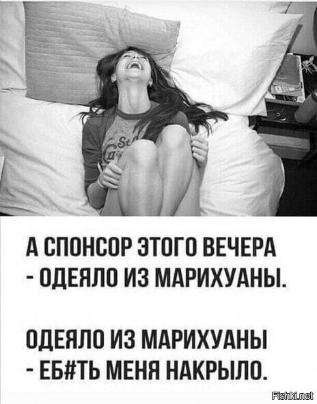 Солянка от 20.02.2026