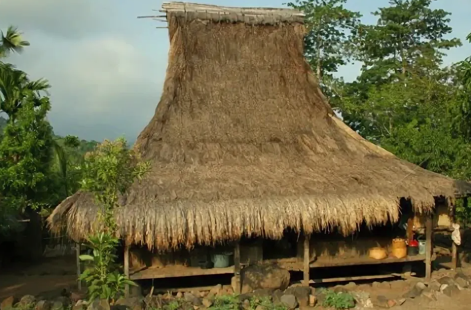 Черепизация - насильная мера в Индонезии