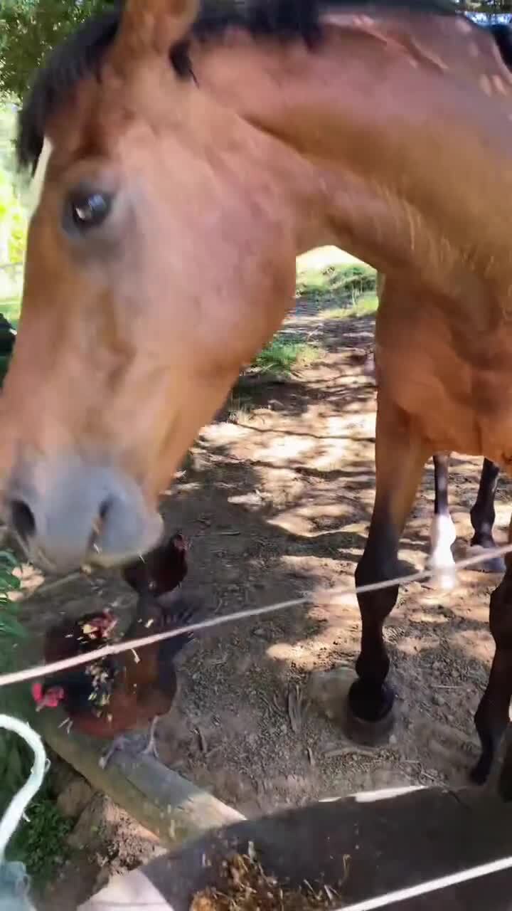 Солянка от 21.02.2026 