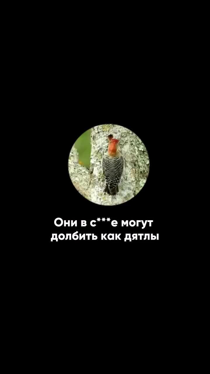 Врач с 20-летним стажем решил успокоить закомплексованных бедолаг и разбить н... 