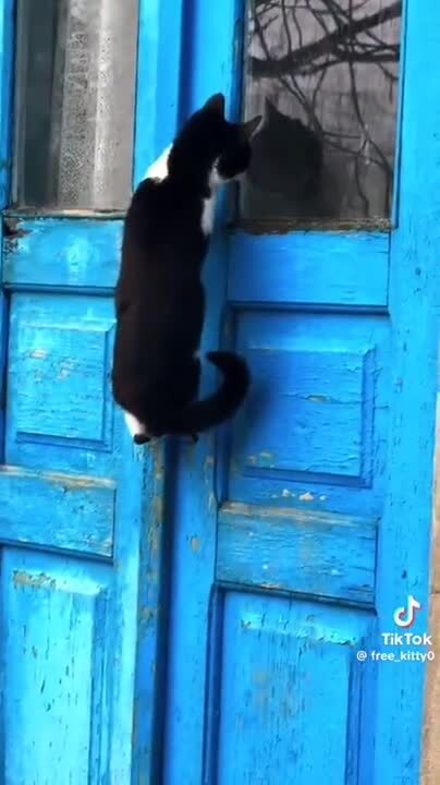 Солянка от 21.02.2026 