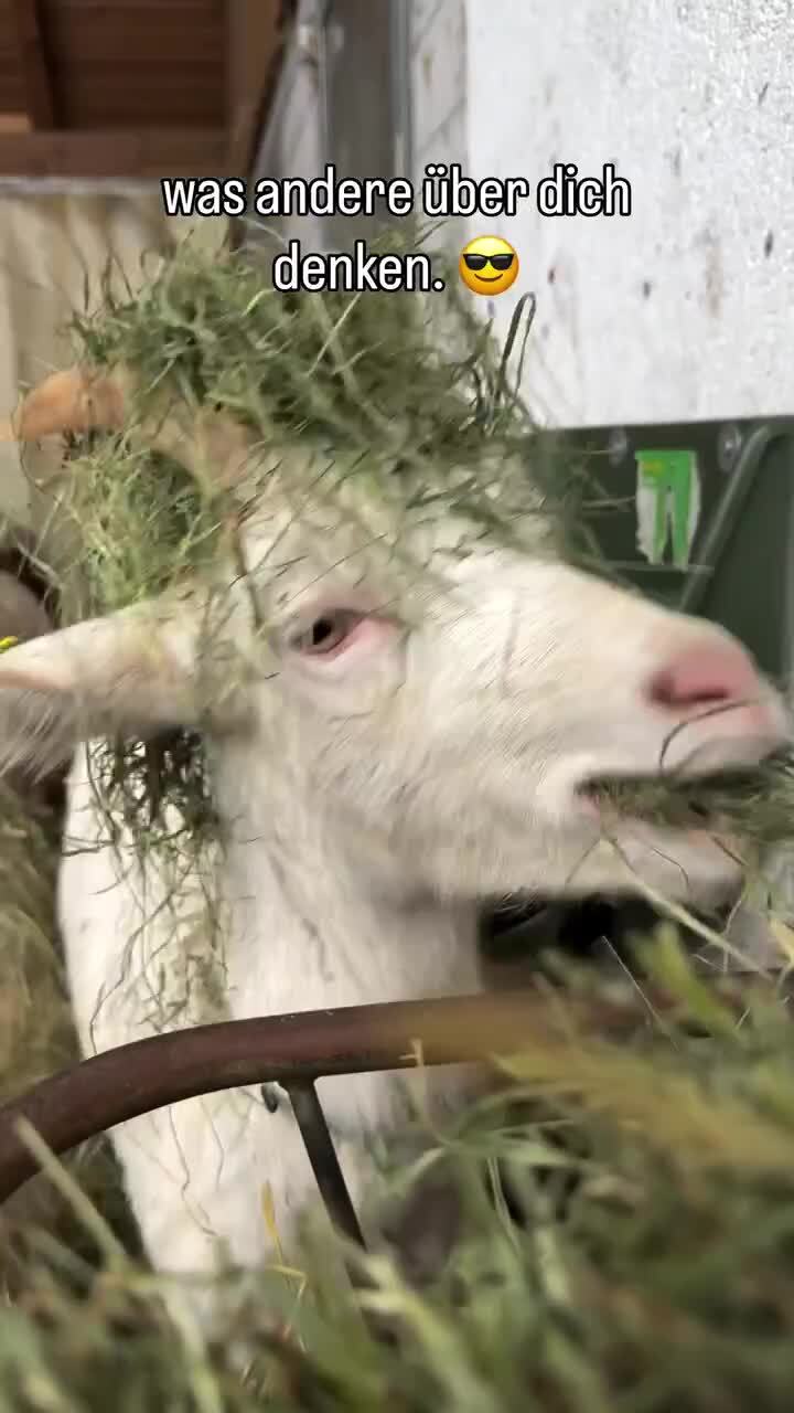 Солянка от 21.02.2026 