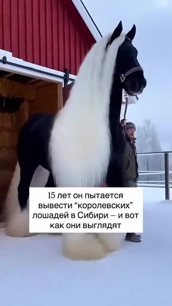 Солянка от 21.02.2026 