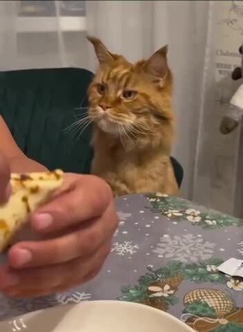 Вот так просто съешь и мне не дашь 