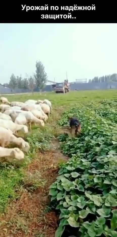 Солянка от 21.02.2026 