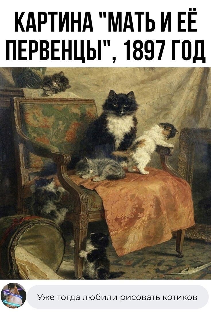 Милые котейки