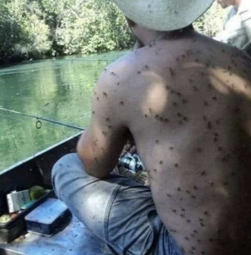 Железные нервы: 16 фото, доказывающих, что спокойствие — это суперсила Железные нервы: 16 фото, доказывающих, что спокойствие — это суперсила выдержка, спокойствие, самообладание, эмоции, жизненные ситуации, приколы, фото, подборка, реакция, стресс, юмор, не паникуй, крутость