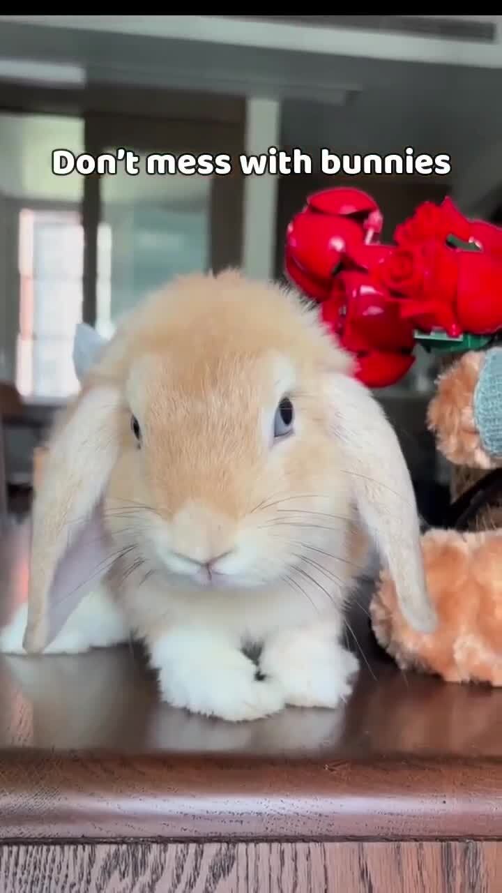 Солянка от 22.02.2026 