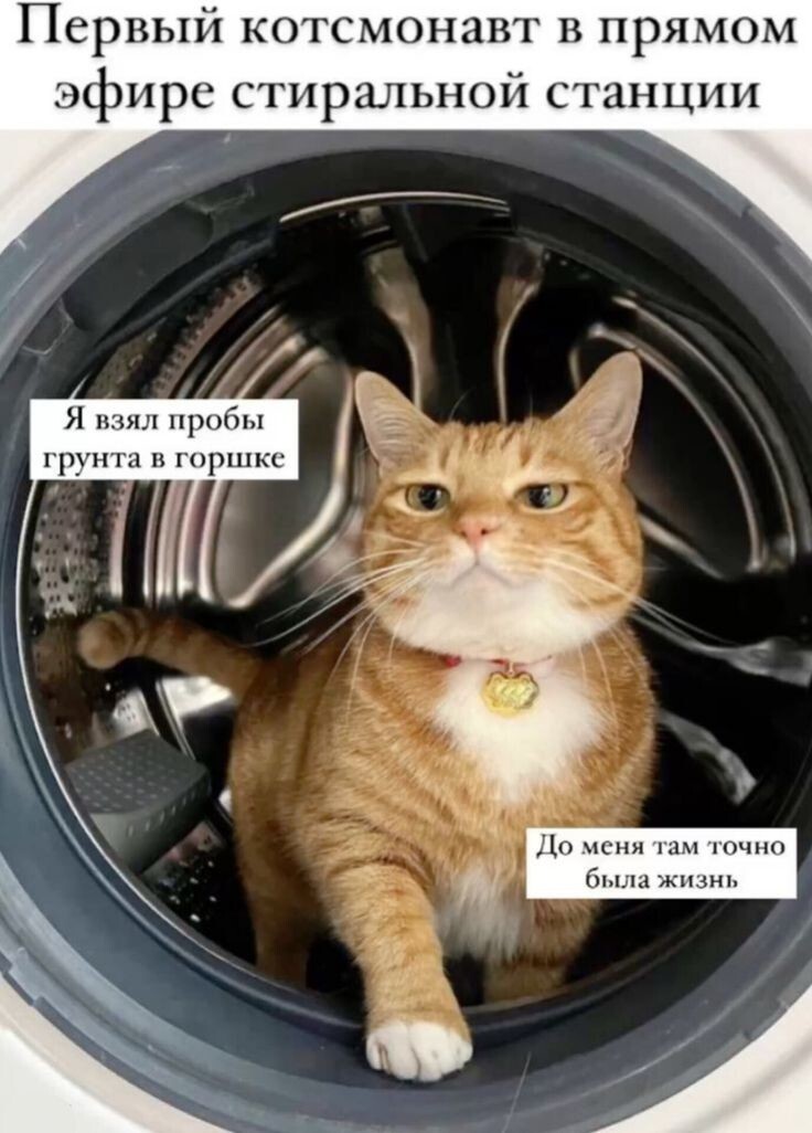 Весëлые картинки