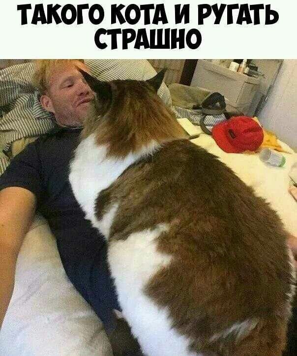 Весëлые картинки