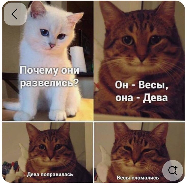 Весëлые картинки