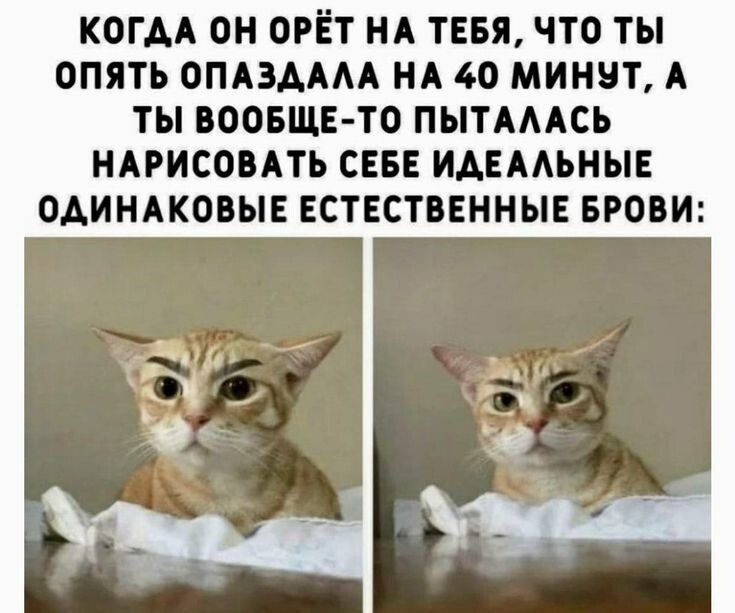 Весëлые картинки