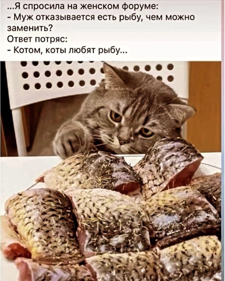 Весëлые картинки