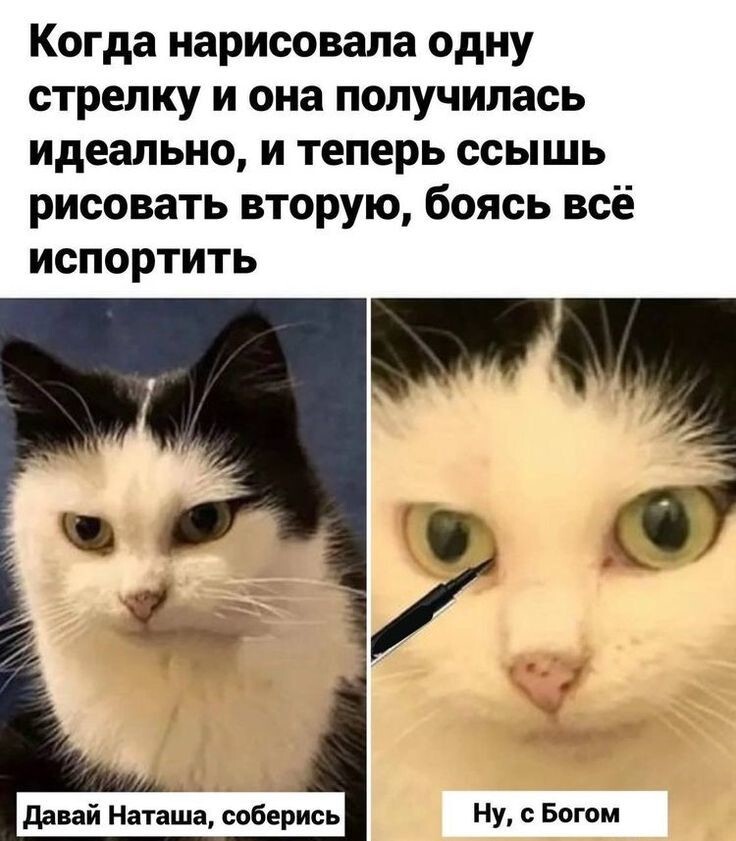 Весëлые картинки