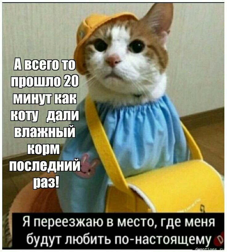 Весëлые картинки