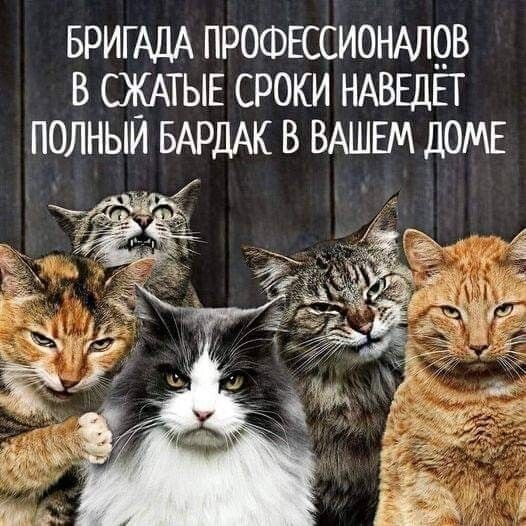 Весëлые картинки