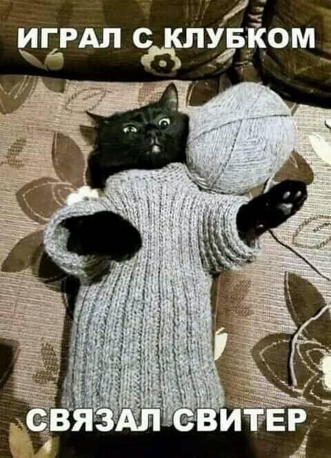 Весëлые картинки