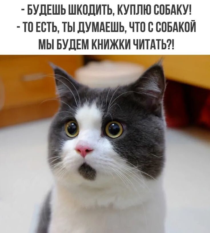 Весëлые картинки
