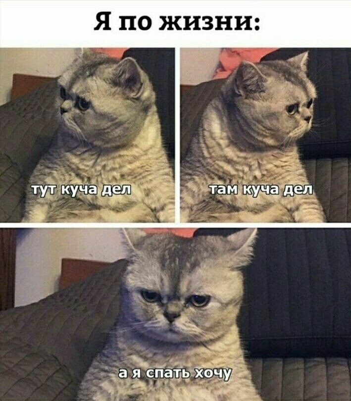 Весëлые картинки
