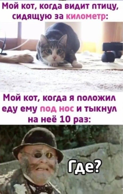 Весëлые картинки