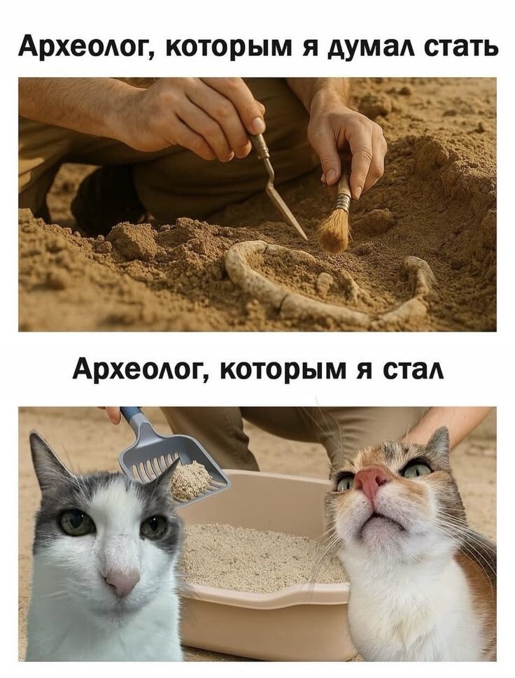 Весëлые картинки