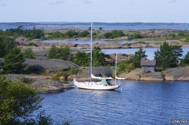 Солянка от 22.02.2026