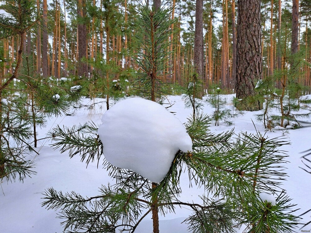 Солянка от 22.02.2026