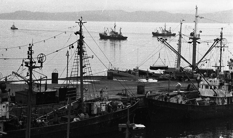 Город у вулканов: Петропавловск-Камчатский на старых фотографиях петропавловск-камчатский, старые фотографии, история камчатки, ретро снимки, владислав микоша, всеволод тарасевич, владимир носов, советские фотографии, авачинская бухта, день рыбака, порт, 1934 год, 1979 год, архивные фото, камчатские рыбаки, краеведение, ссср, дальний восток, город у вулканов