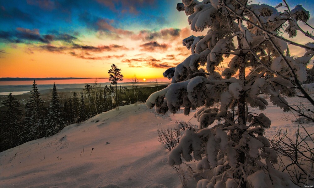 Солянка от 23.02.2026