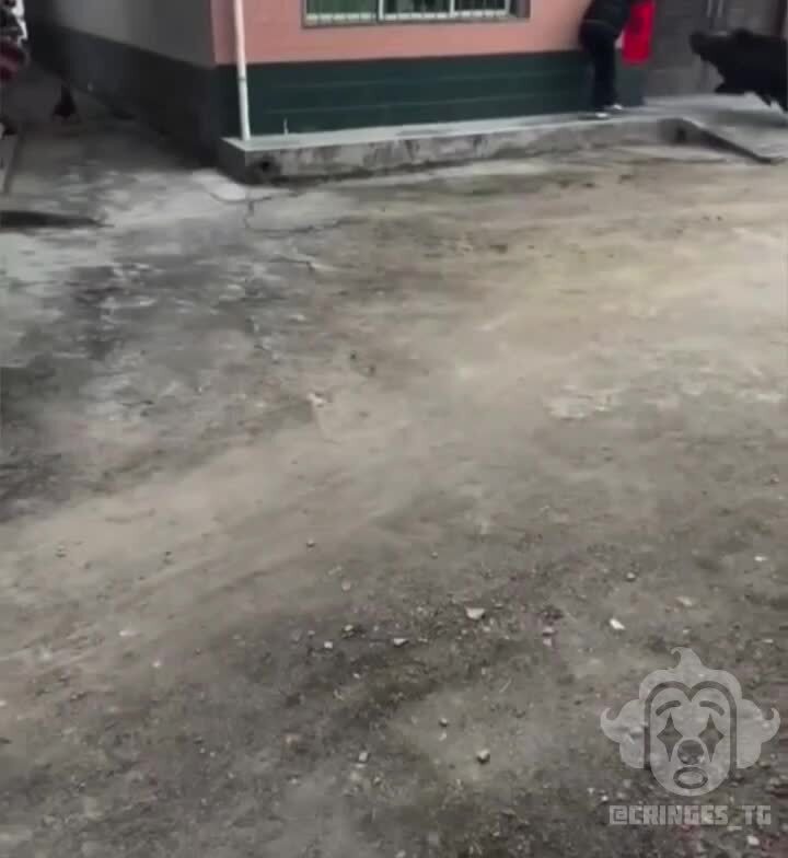 Да она не кусается 