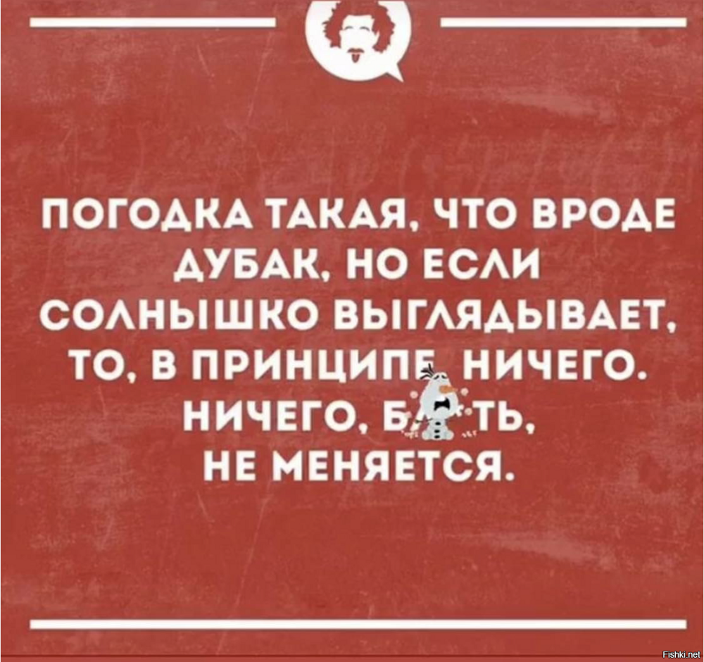 Солянка от 23.02.2026