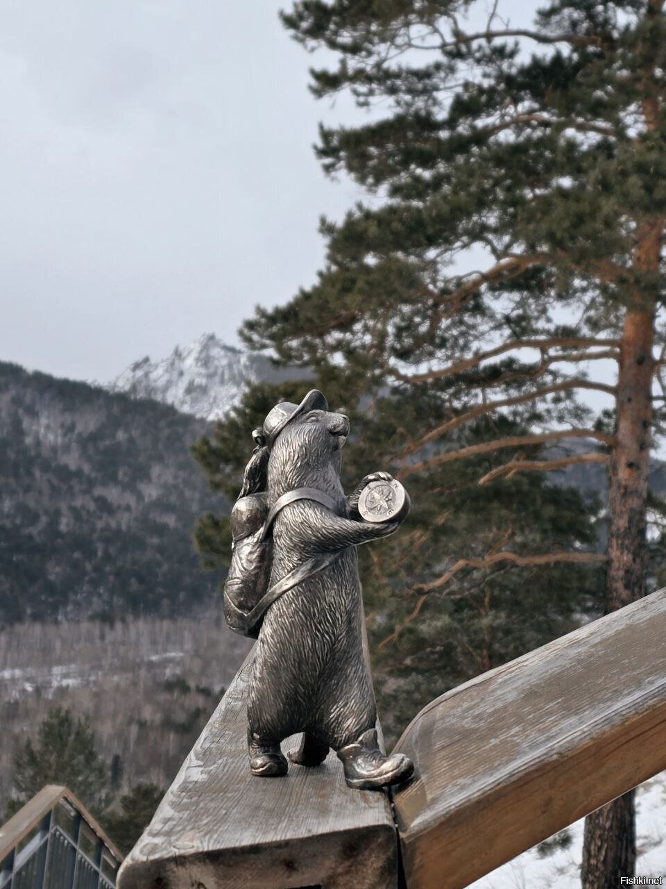 Солянка