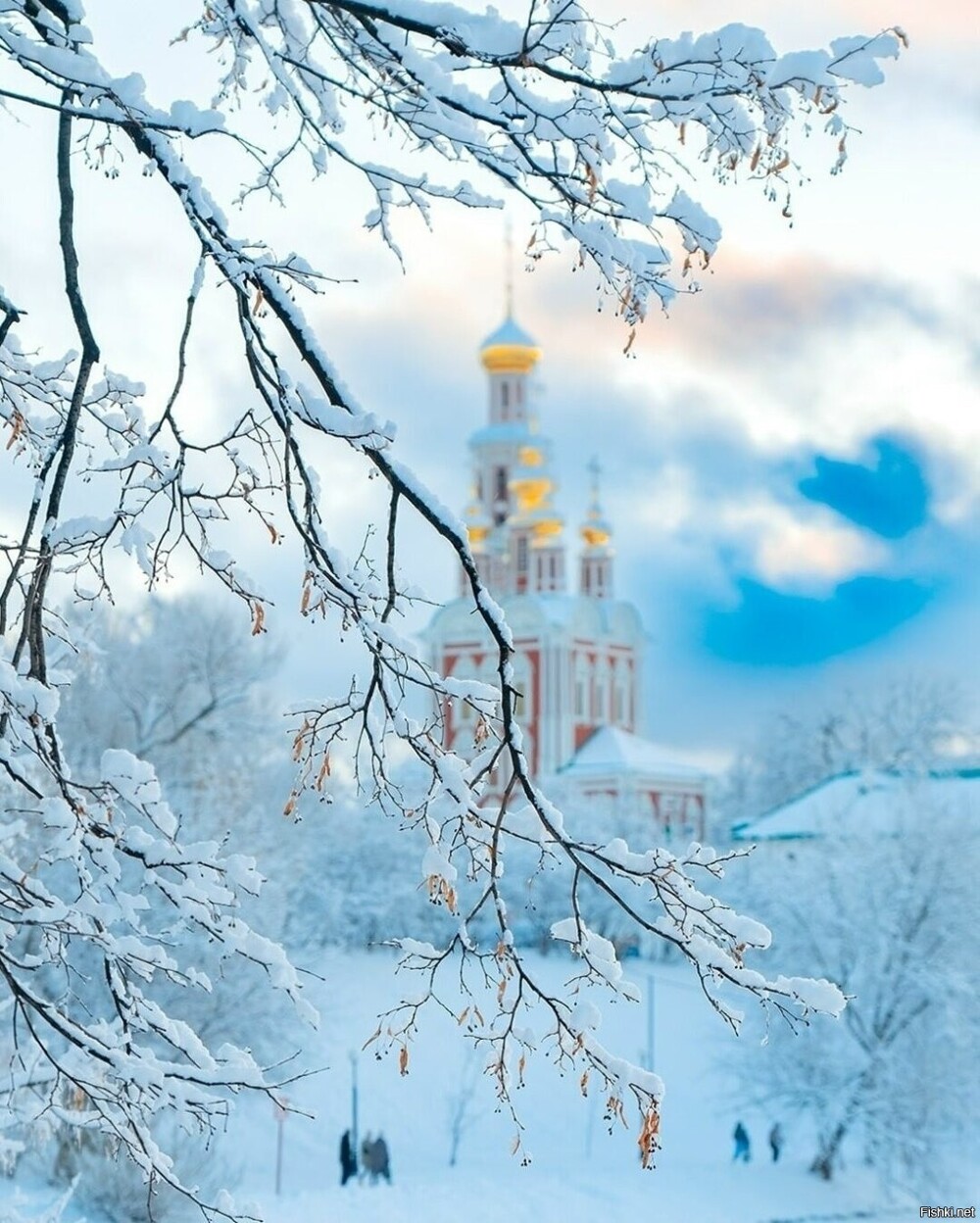 Солянка от 23.02.2026