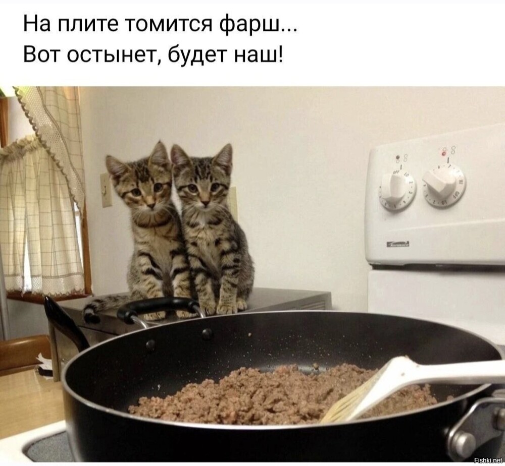 Солянка от 23.02.2026