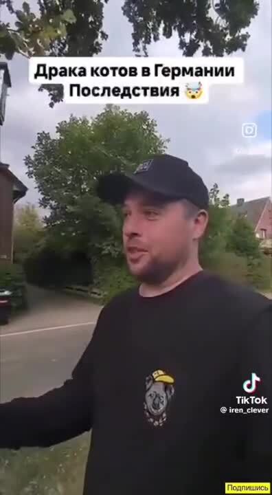 Чужбина есть чужбина 