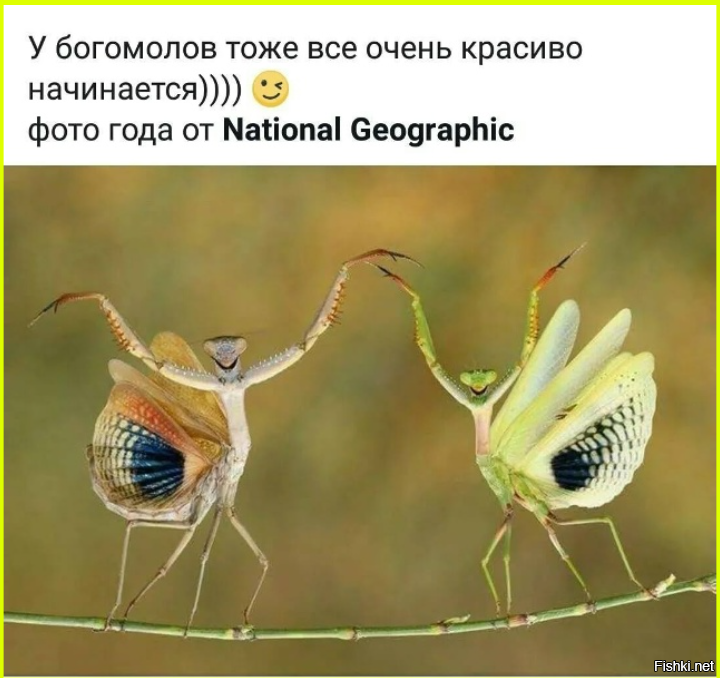 Солянка от 23.02.2026