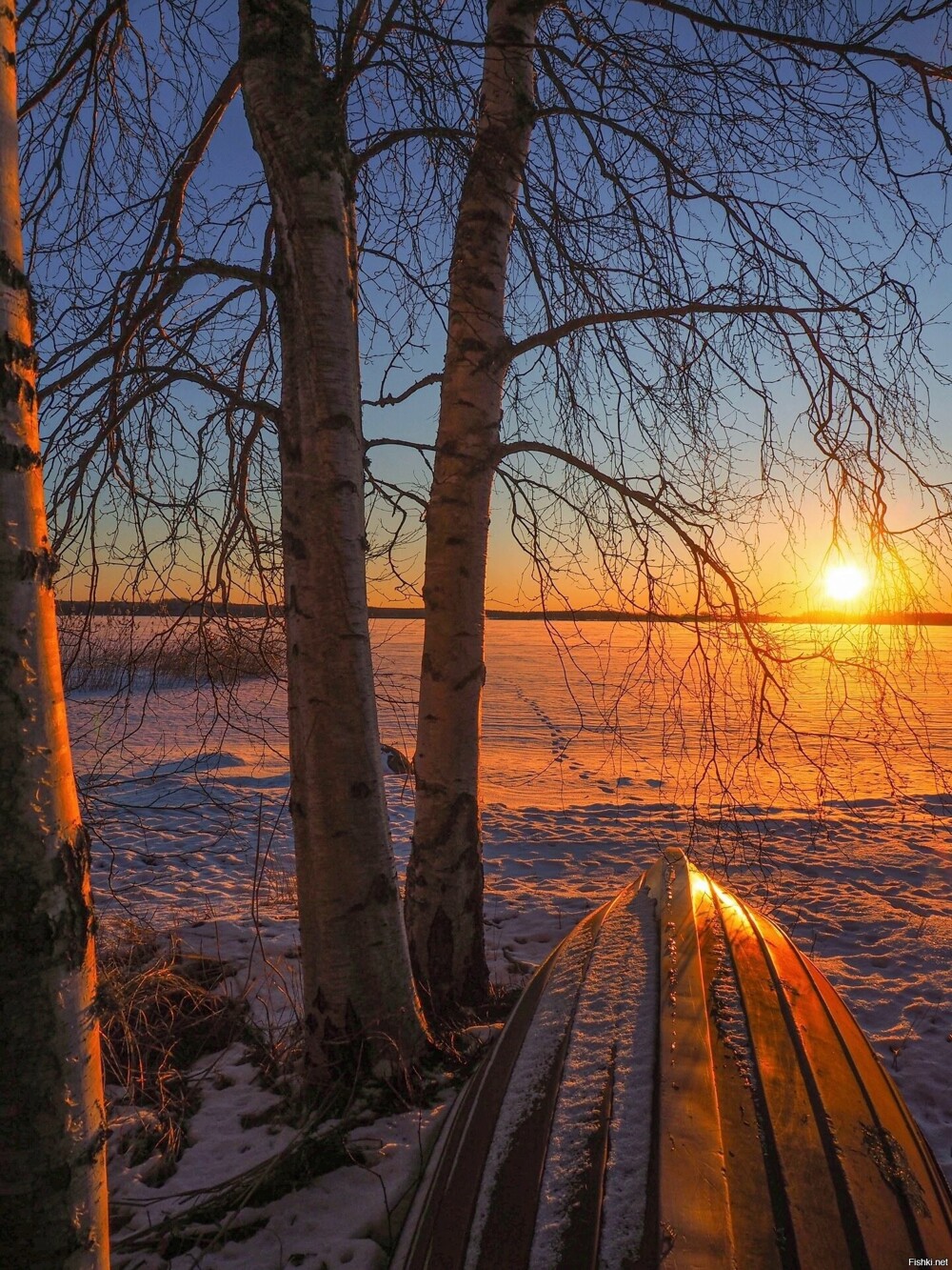 Солянка от 23.02.2026