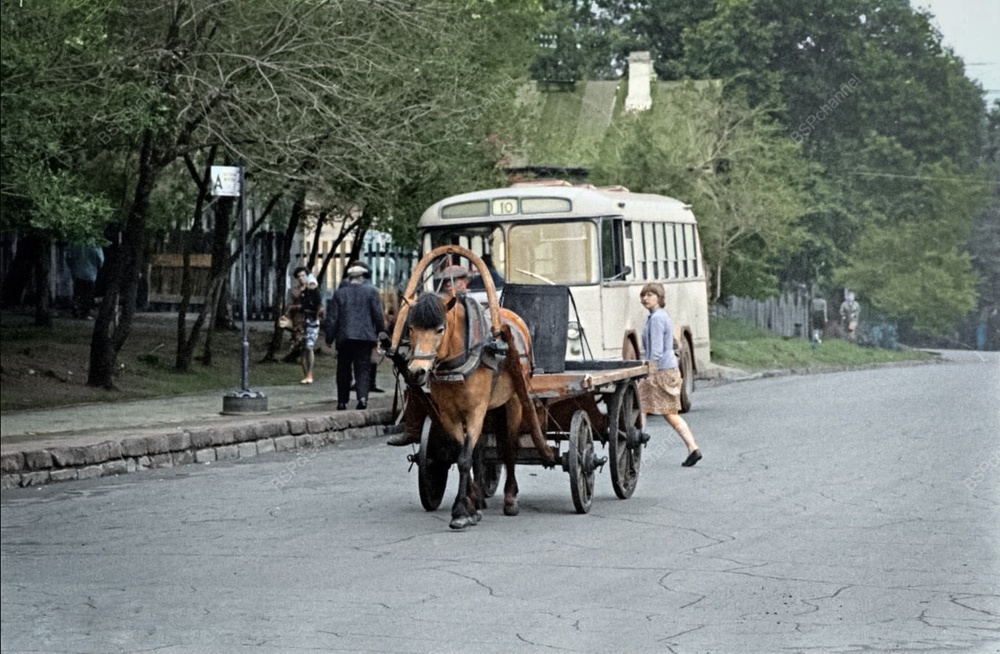 Жизнь Советского Хабаровска в 1960-е годы