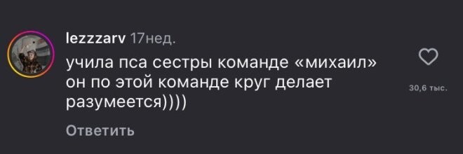 Смешные картинки