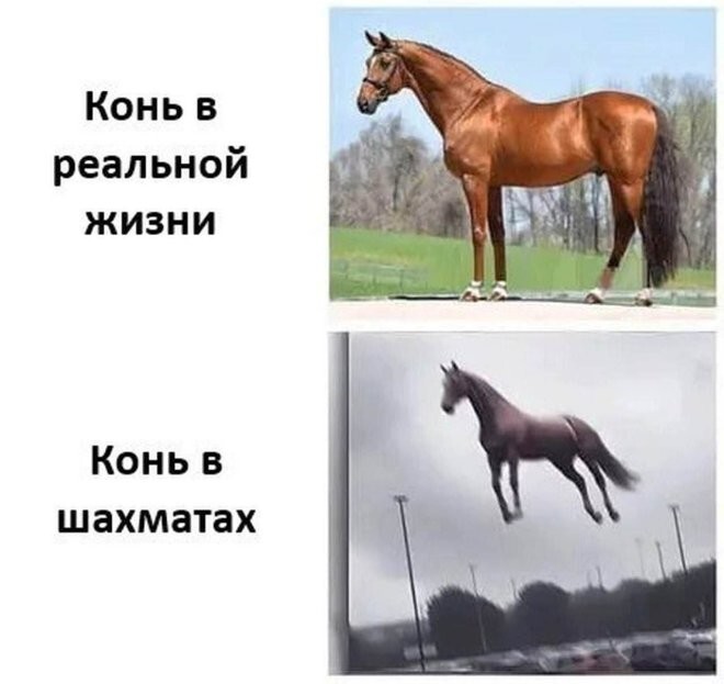 Смешные картинки