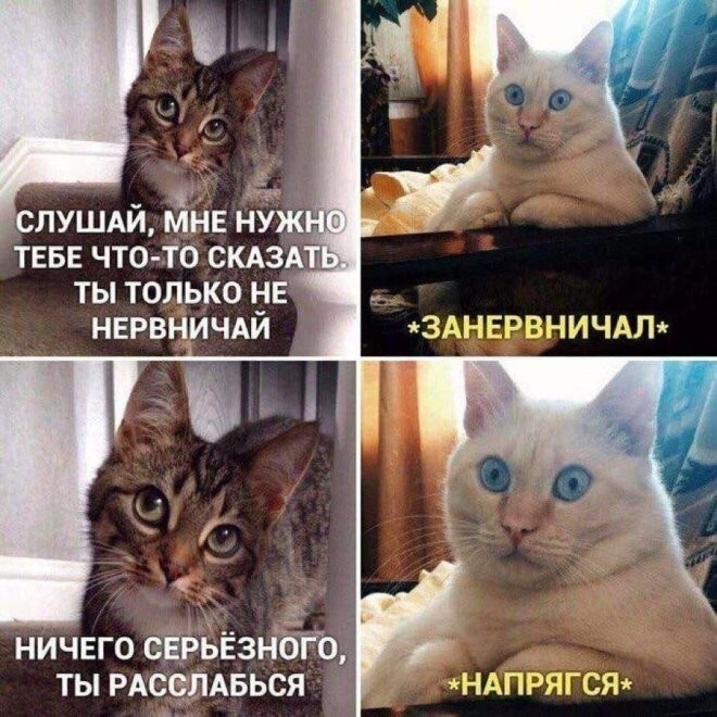 Смешные картинки
