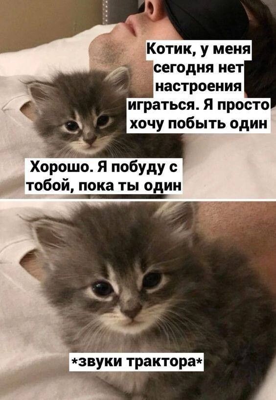 Весëлые картинки