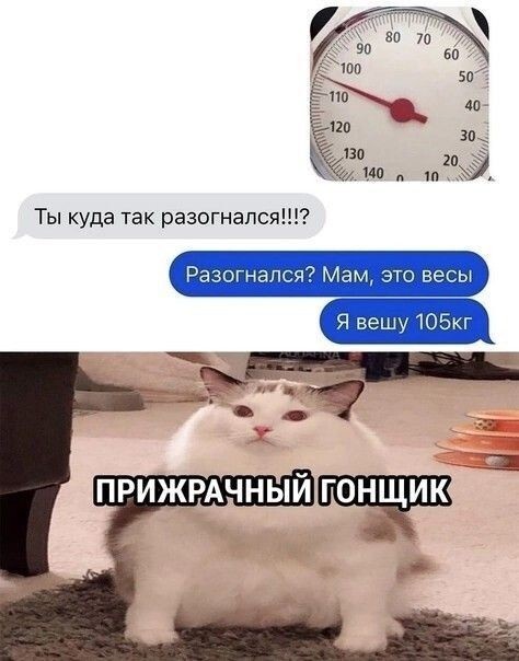 Весëлые картинки