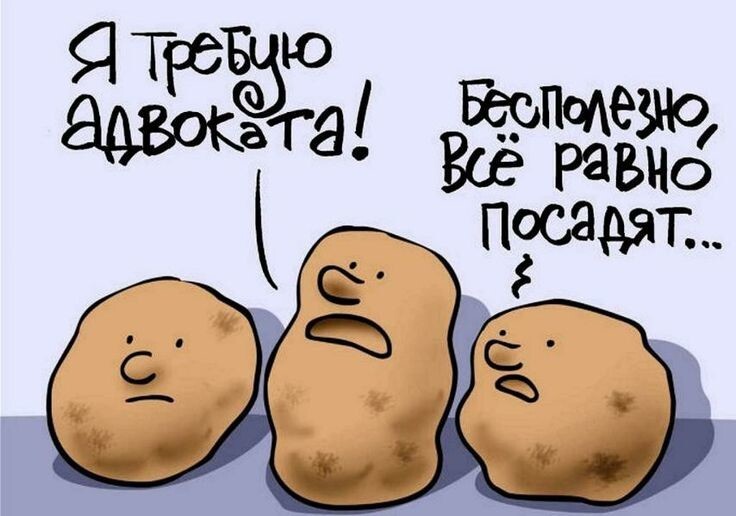 Весëлые картинки