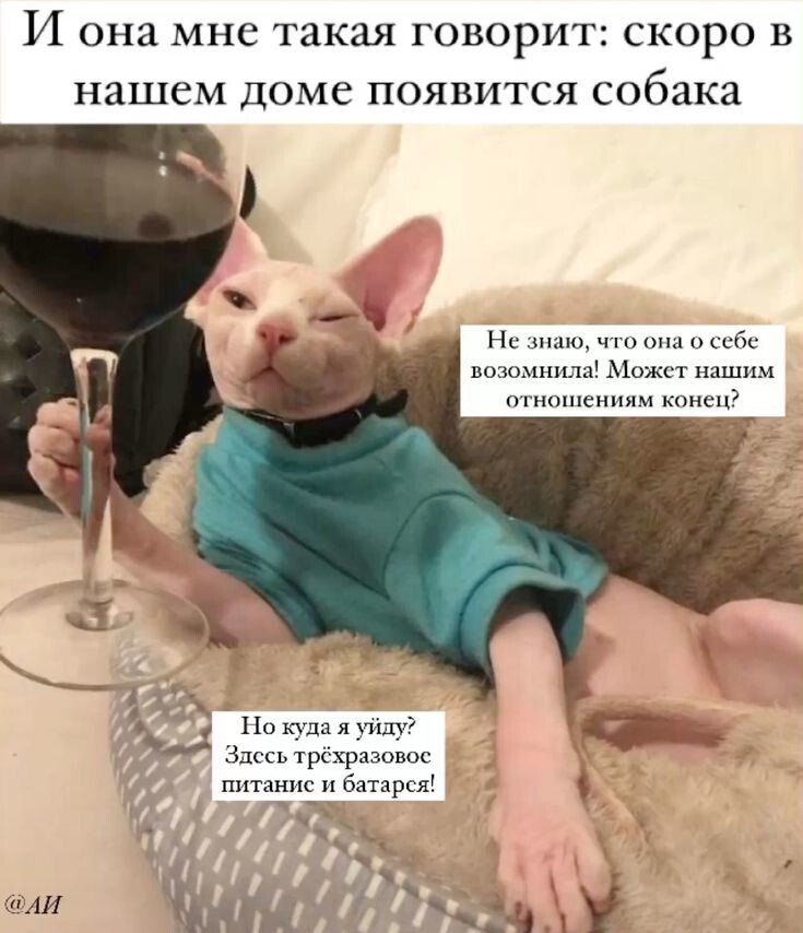 Весëлые картинки